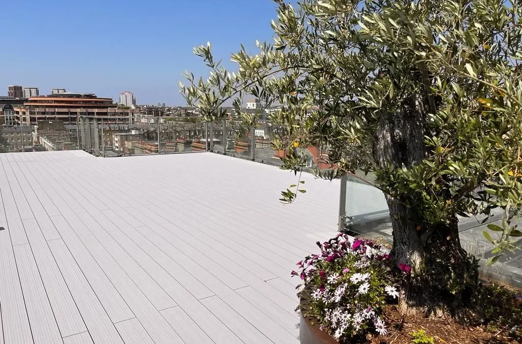 Reasons to choose Camino Decking for your next project